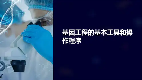 基因工程的基本工具和操作程序
