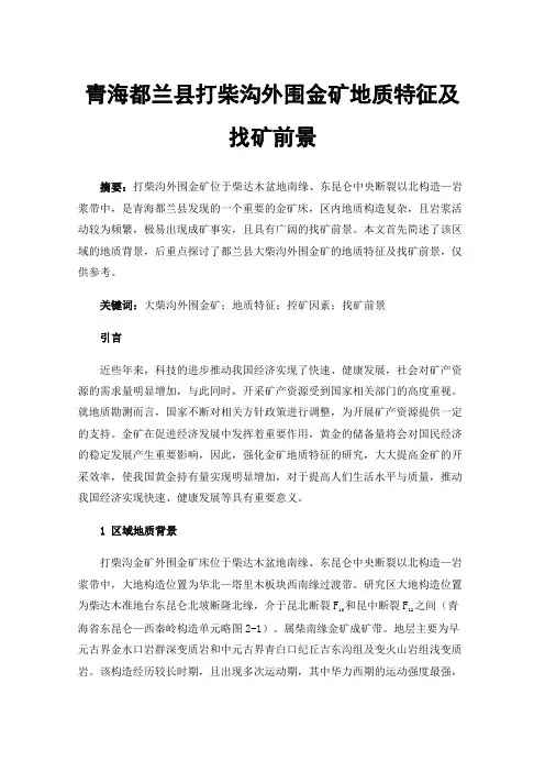 青海都兰县打柴沟外围金矿地质特征及找矿前景