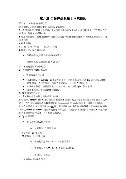 第九章 T淋巴细胞和B淋巴细胞