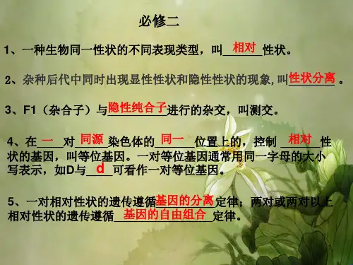 高中生物必修二会考知识点详细总结.ppt