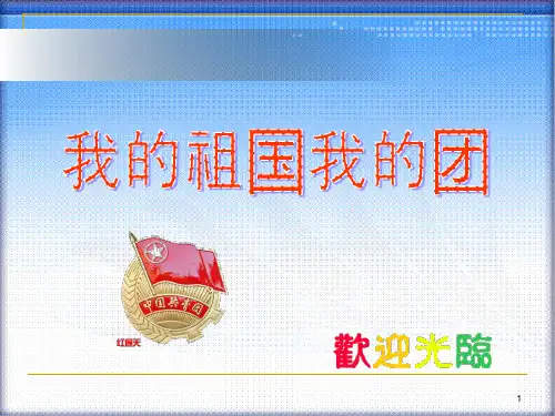 共青团员主题班会PPT教学课件