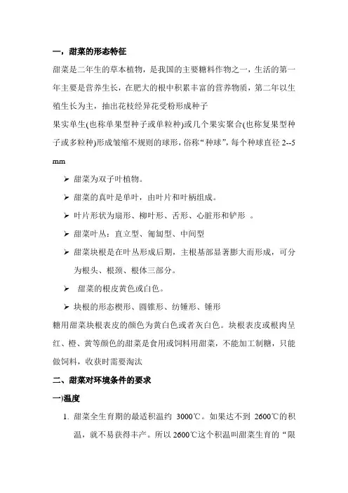 甜菜的形态特征