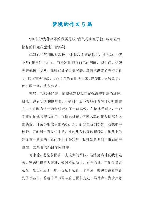 梦境的作文5篇