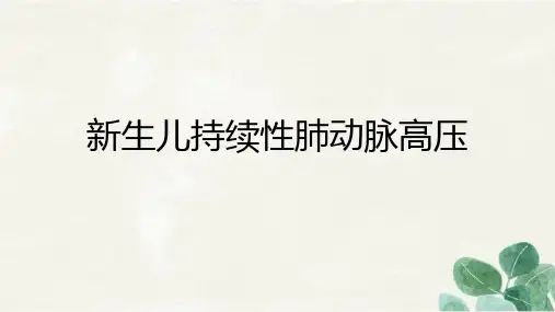 新生儿持续性肺动脉高压