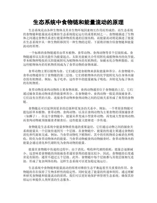 生态系统中食物链和能量流动的原理