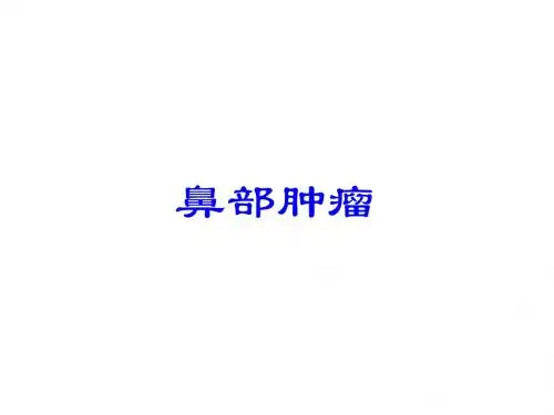 鼻及鼻窦的临床解剖