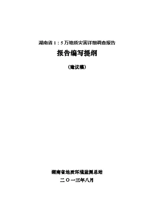湖南省1：5万地质灾害详细调查报告
