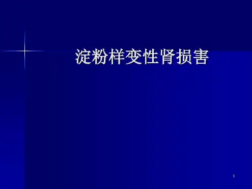 肾脏淀粉样变参考-2023年学习资料