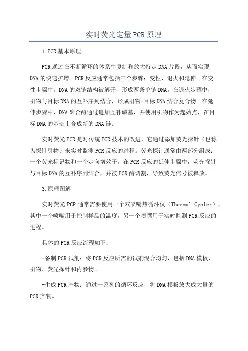实时荧光定量PCR原理