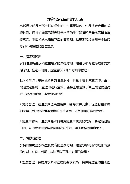 水稻扬花后管理方法