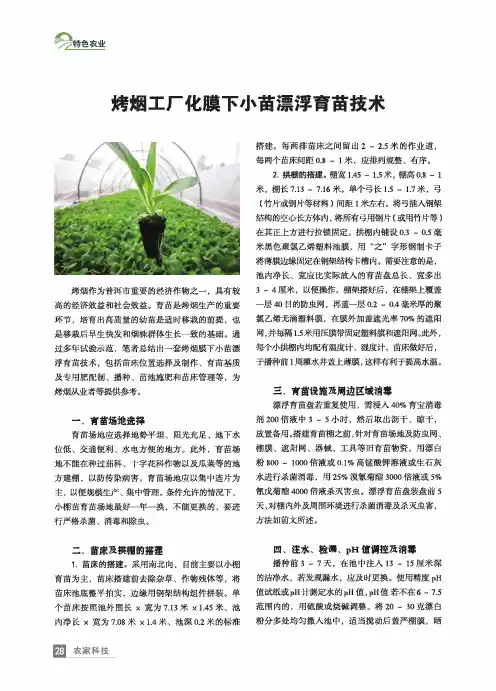 烤烟工厂化膜下小苗漂浮育苗技术