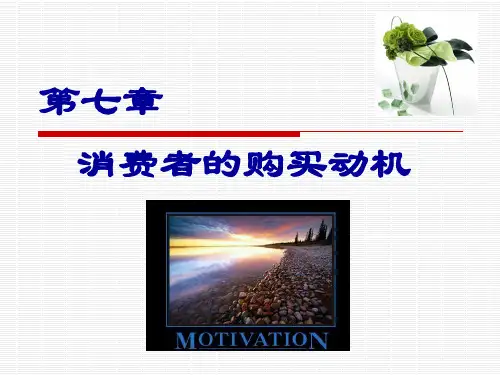 第七章 消费者的购买动机