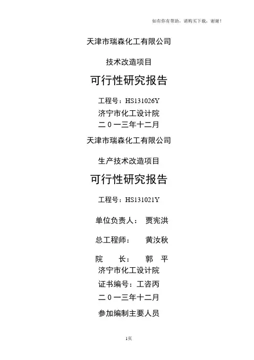 化工有限公司技术改造项目可行性研究报告