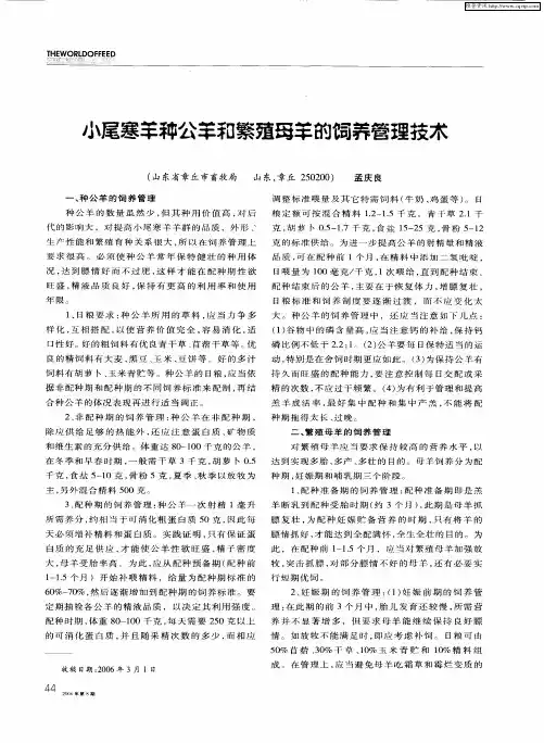 小尾寒羊种公羊和繁殖母羊的饲养管理技术