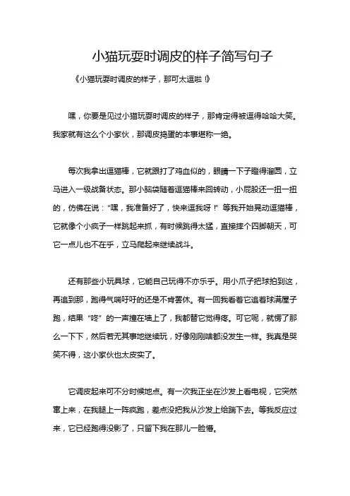 小猫玩耍时调皮的样子简写句子