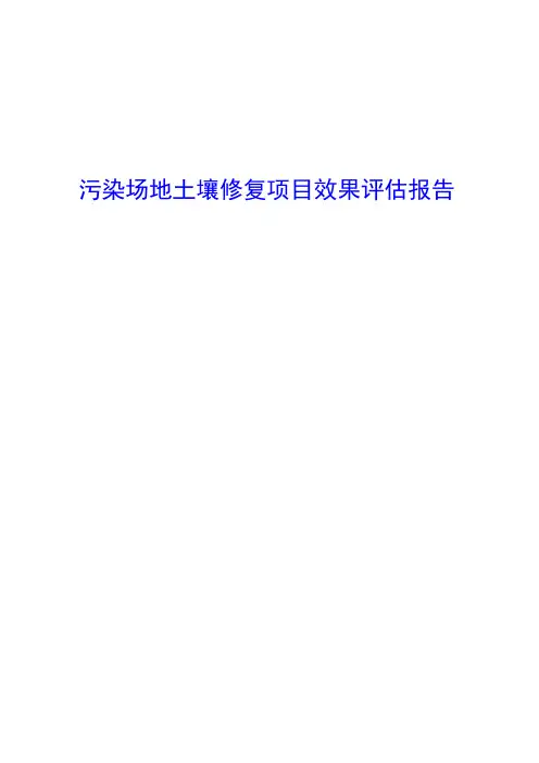 污染场地土壤修复项目效果评估报告