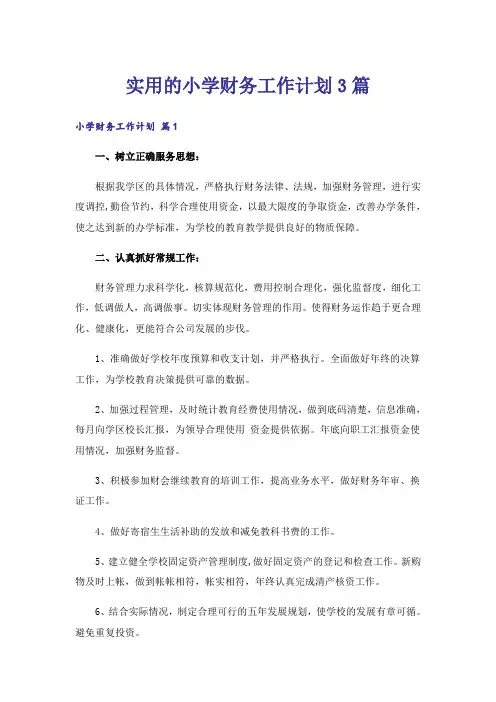 实用的小学财务工作计划3篇