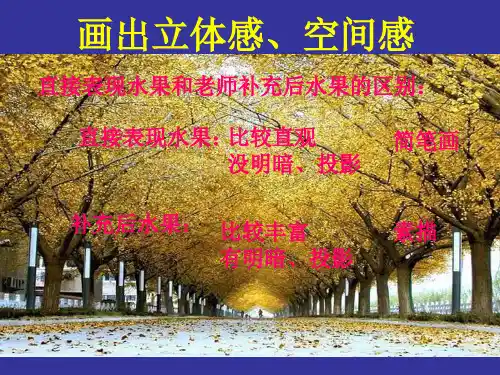 画出立体感空间感-PPT课件