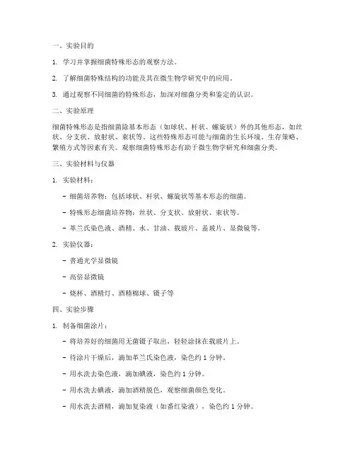细菌特殊形态_实验报告