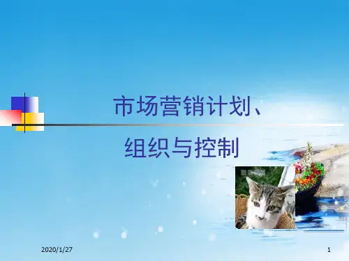 市场营销计划组织与控制