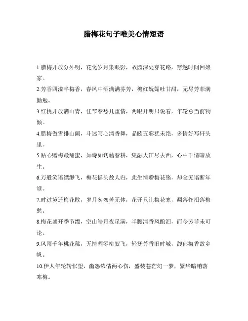 腊梅花句子唯美心情短语