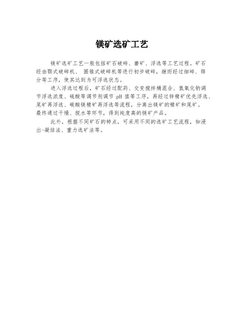 镁矿选矿工艺