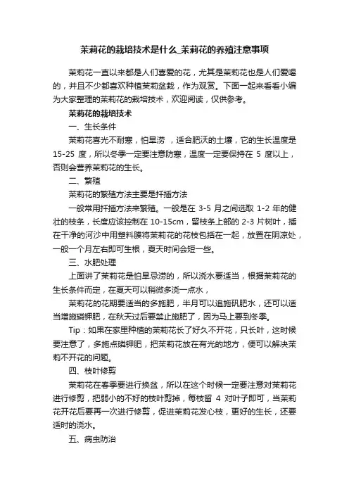 茉莉花的栽培技术是什么_茉莉花的养殖注意事项