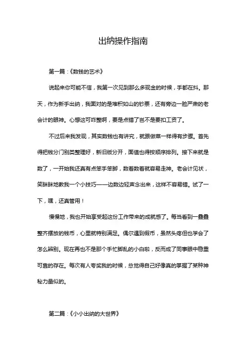 出纳操作指南