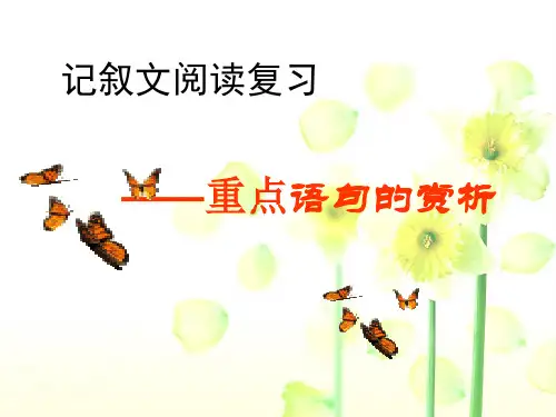 记叙文阅读复习重点语句赏析ppt课件