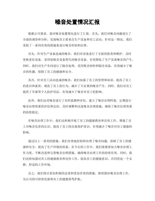 噪音处置情况汇报