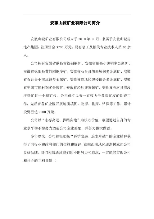 文案---矿业有限公司简介