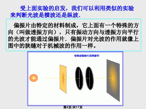高二物理光偏振.pptx