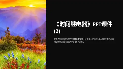 《时间继电器》课件 (2)