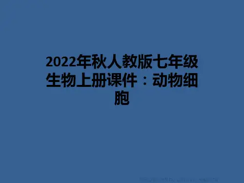 2022年秋人教版七年级生物上册课件：动物细胞