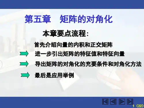 第五章_矩阵的对角化
