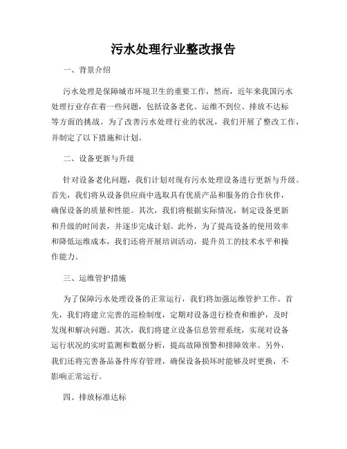 污水处理行业整改报告