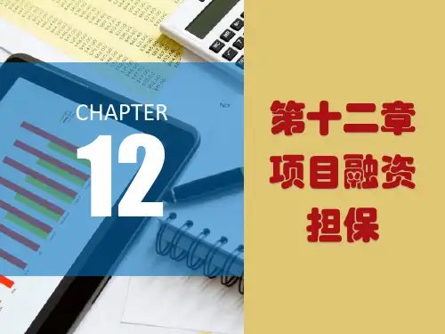 第十二章项目融资担保《项目融资》