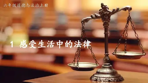 六年级道德与法治上册第一单元1.感受生活中的法律