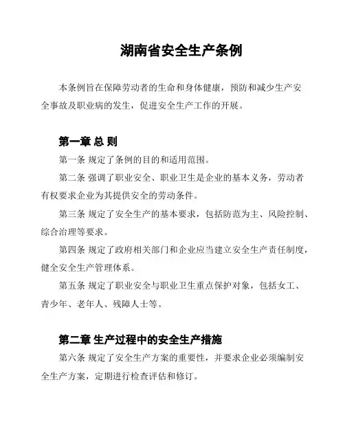 湖南省安全生产条例