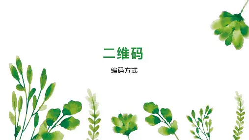 二维码    