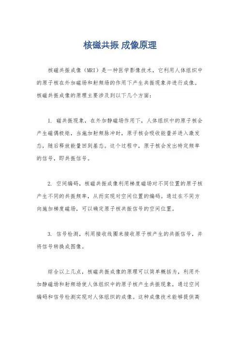 核磁共振 成像原理