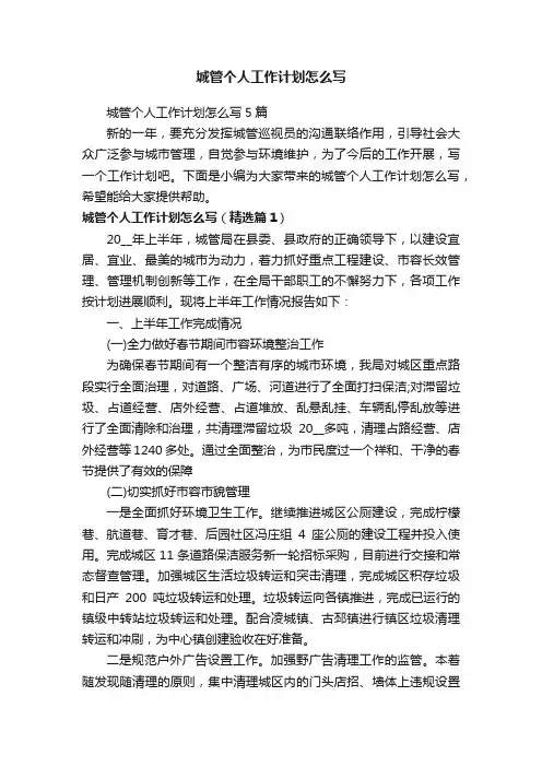 城管个人工作计划怎么写