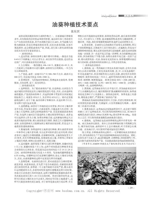 油葵种植技术要点