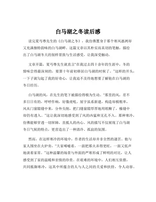 白马湖之冬读后感