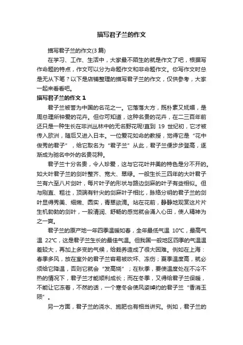 描写君子兰的作文