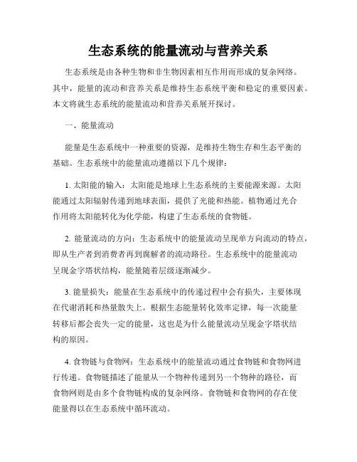 生态系统的能量流动与营养关系