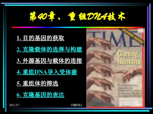 重组DNA技术PPT课件