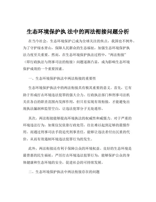 生态环境保护执 法中的两法衔接问题分析