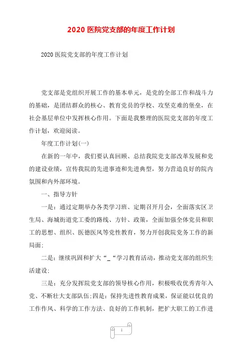 2020医院党支部的年度工作计划——【范文】.doc