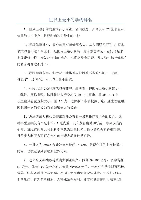 世界上最小的动物排名
